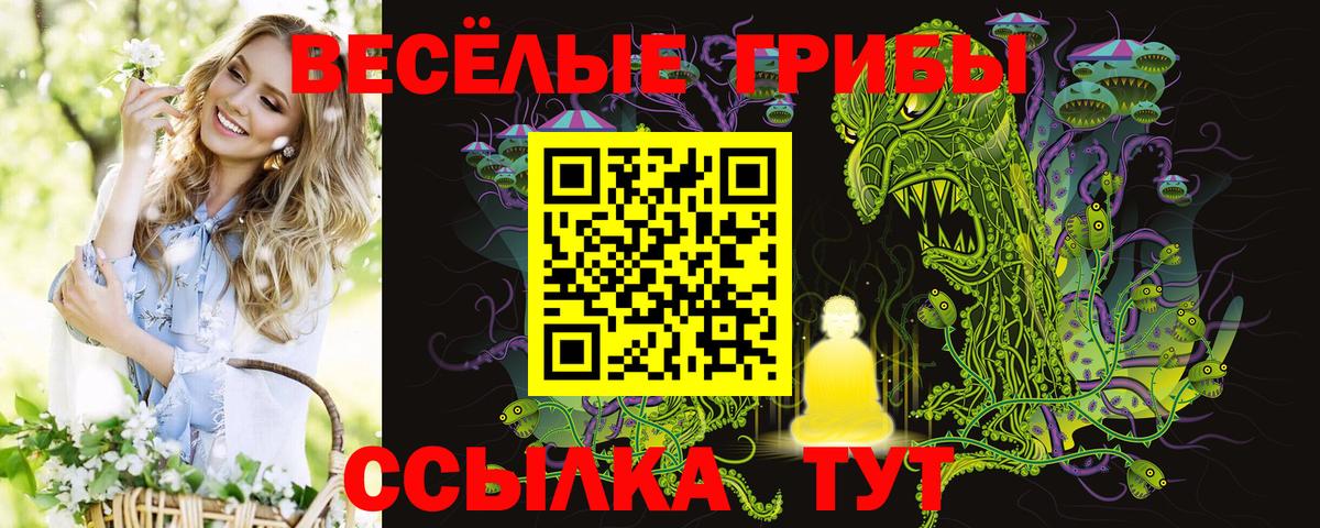 Псилоцибиновые грибы мицелий Спасск-Дальний
